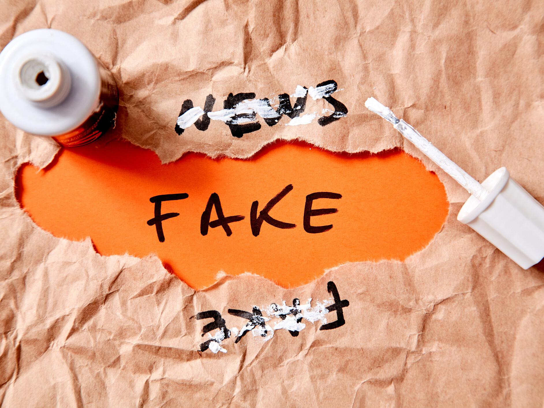 fake news media literacy