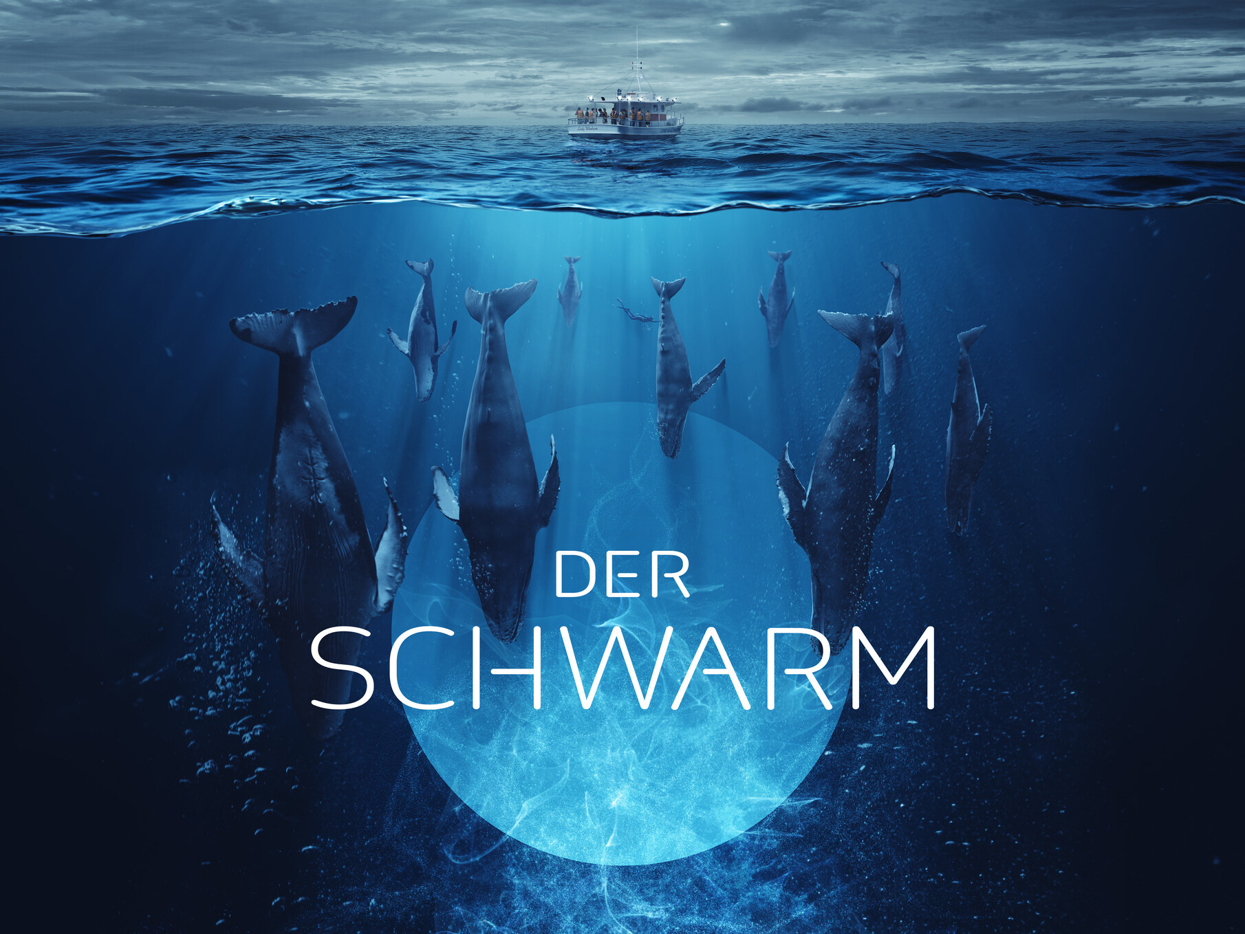 Der Schwarm promotion image.