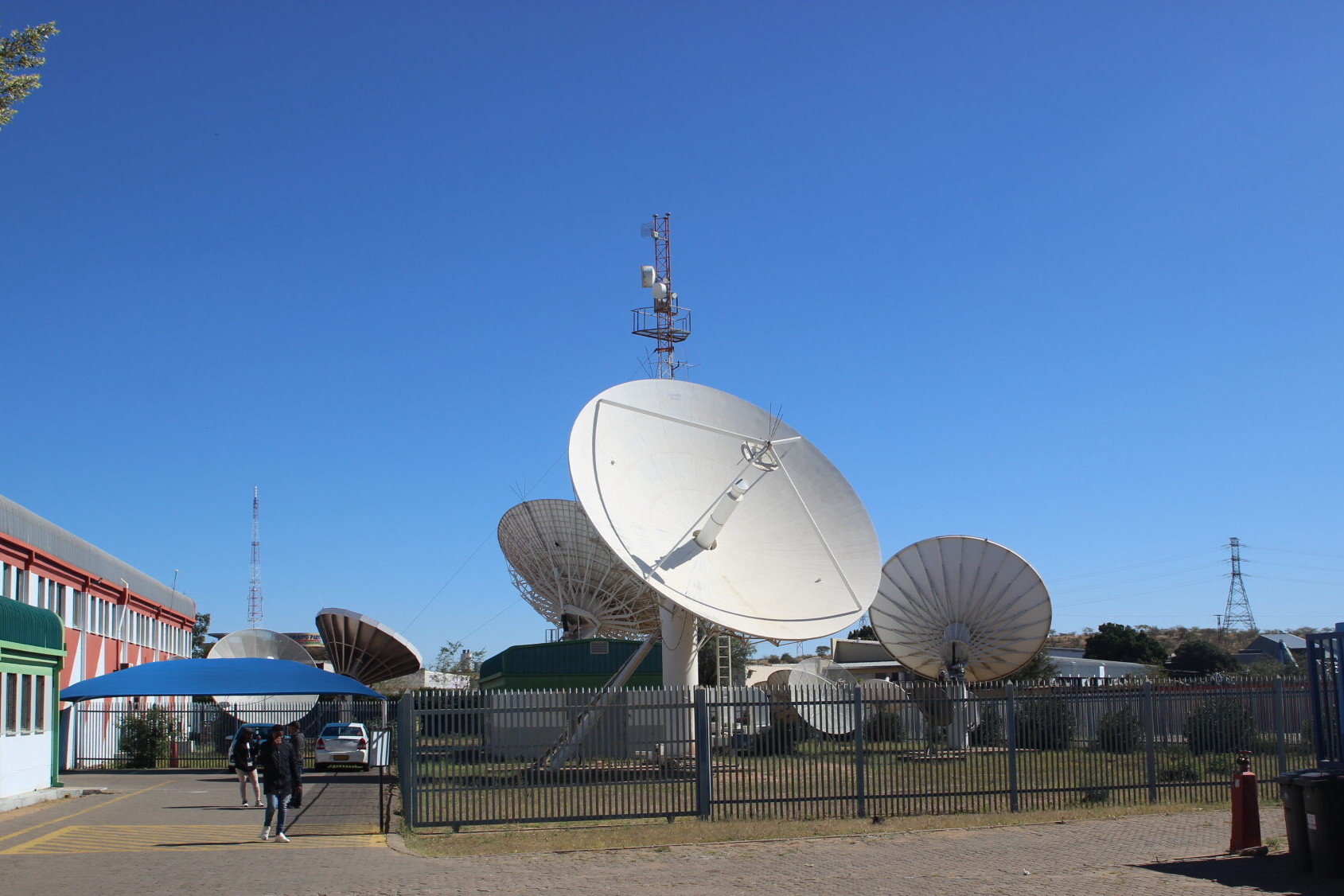 Against a bright blue sky, lots of satellite dishes point upwards.